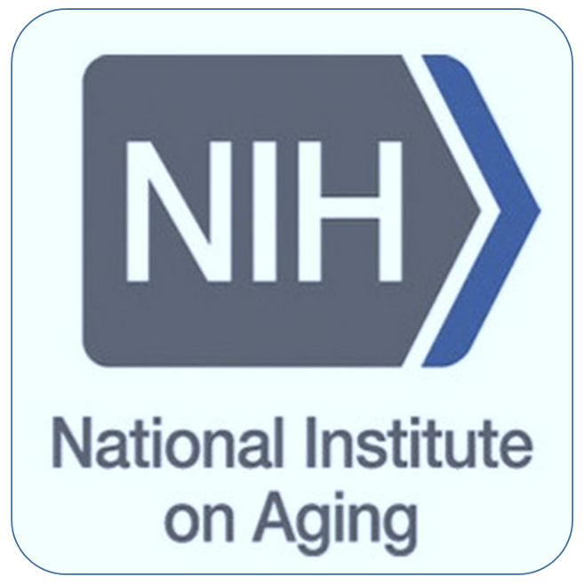 National Institute on Aging